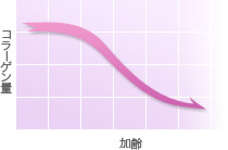 加齢とともに減少するコラーゲン量