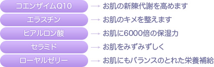 コエンザイムQ10：お肌の新陳代謝を高めます・エラスチン：お肌のキメを整えます・ヒアルロン酸：お肌に6000倍の保湿力・セラミド：お肌をみずみずしく・ローヤルゼリー：お肌にもバランスのとれた栄養補給