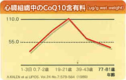 心臓組織中のCoQ10含有量